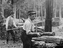Pourvoyeuses de bois, lieux stratégiques, les forêts ont tenu un rôle important dans la Grande Guerre. (forêt de l’Isle Adam, Val d’Oise, août 1915)