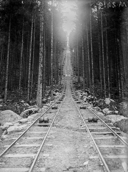 Des voies étroites, de 60 cm de large, permettent de sortir le bois des forêts (Vosges, août 1916)