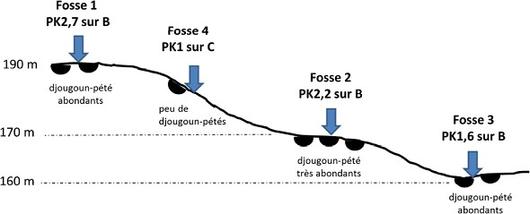 schéma de répartition djougoun-pété