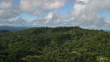 Vue aérienne sur la réserve du Mont-Grand-Matoury