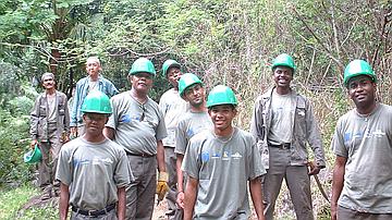 Equipe d'ouvriers en insertion dans la forêt de la Providence