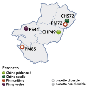 Renecofor - placettes - Pays de la Loire