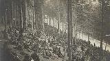 Grâce au couvert que procurent les arbres, la forêt peut se transformer parfois en lieu de repos (Chasseurs alpins au Collet, Vosges, juin 1915)
