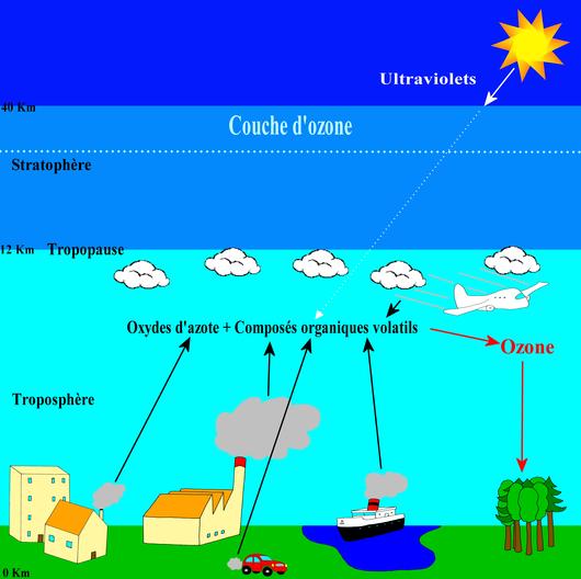 La formation de l’ozone dans la troposphère 