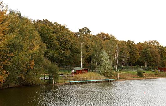 Les étangs de Hollande, en lisière de forêt, sont très fréquentés. Ils sont aménagés avec un centre nautique et une plage 