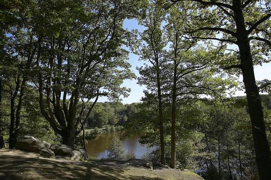 Une vue sur un étang. Les étangs contribuent aussi à l'identité paysagère de la forêt