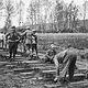 Le bois sert à construire des voies de chemin de fer, cruciales pour déplacer les troupes (Vailly, Aisne)